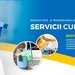 RO-Clean Star - Servicii de curatenie